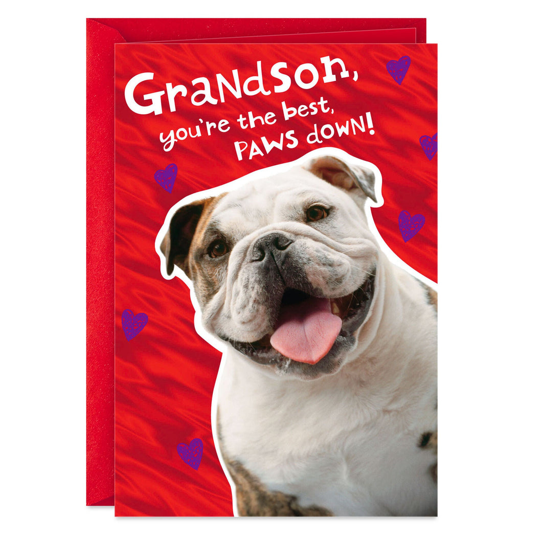 You're the Best Paws Down Valentine's Day Card for Grandson